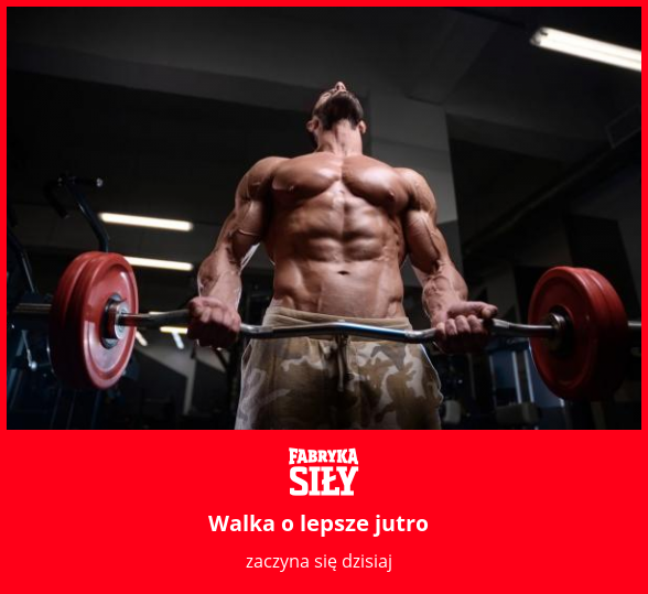 Walka o lepsze jutro - motywacja do treningu - Fabryka Siły