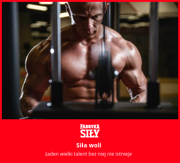 Siła woli - motywacja do treningu - Fabryka Siły