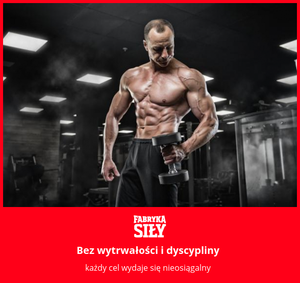 Bez wytrwałości i dyscypliny - motywacja do treningu - Fabryka Siły
