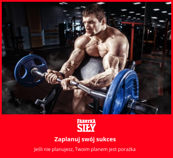 Zaplanuj swój sukces - motywacja do treningu - Fabryka Siły
