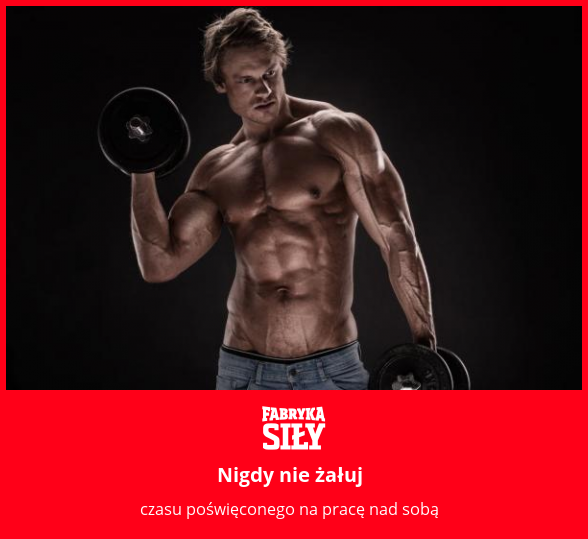 Nigdy nie żałuj - motywacja do treningu - Fabryka Siły