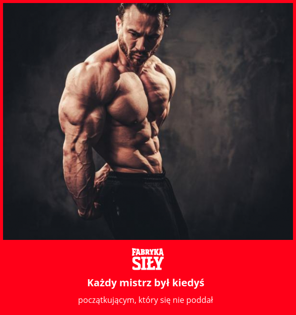 Każdy mistrz był kiedyś - motywacja do treningu - Fabryka Siły