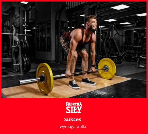 Sukces - motywacja do treningu - Fabryka Siły