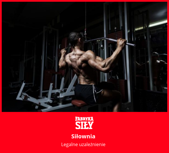 Siłownia - motywacja do treningu - Fabryka Siły