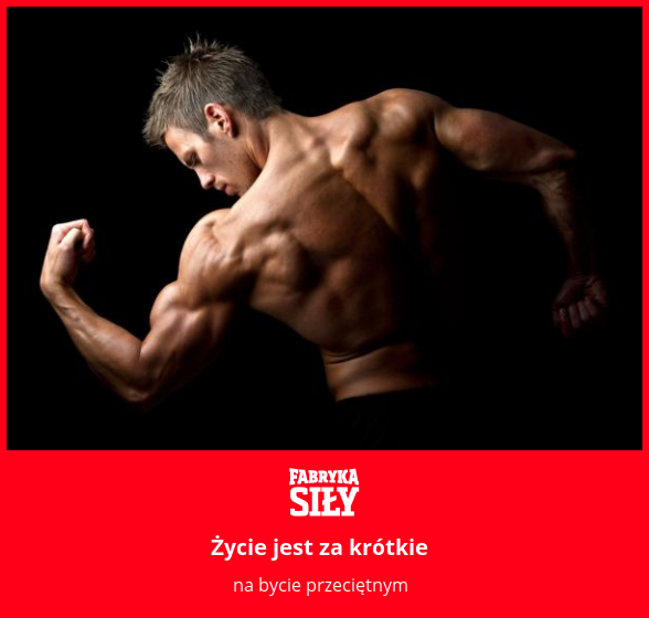 Życie jest za krótkie - motywacja do treningu - Fabryka Siły