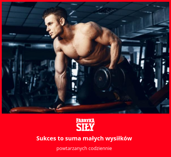 Sukces to suma małych wysiłków - motywacja do treningu - Fabryka Siły