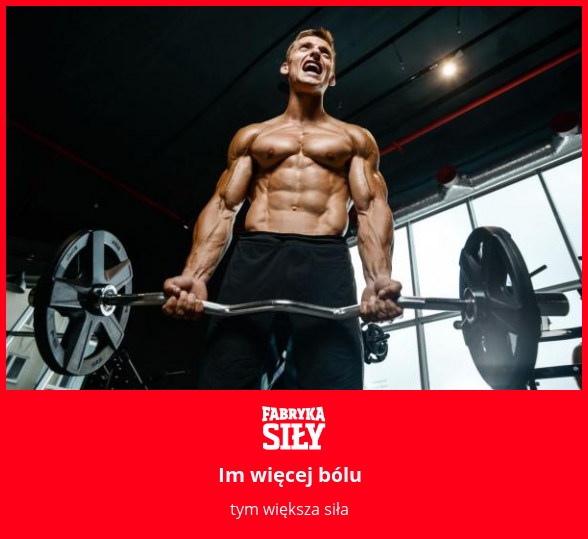Im więcej bólu - motywacja do treningu - Fabryka Siły