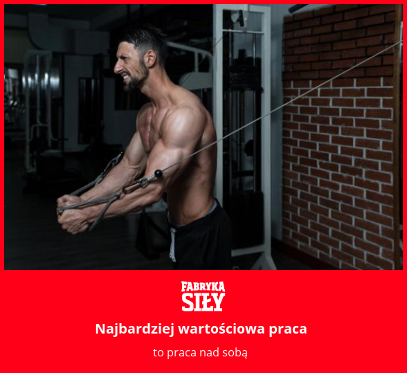 Najbardziej wartościowa praca - motywacja do treningu - Fabryka Siły