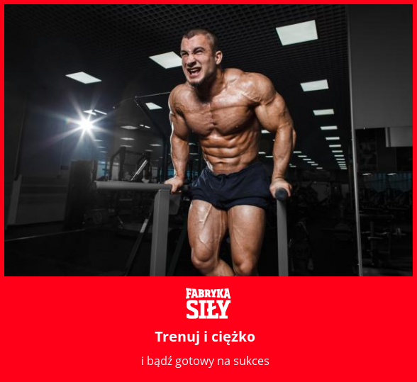 Trenuj i ciężko - motywacja do treningu - Fabryka Siły