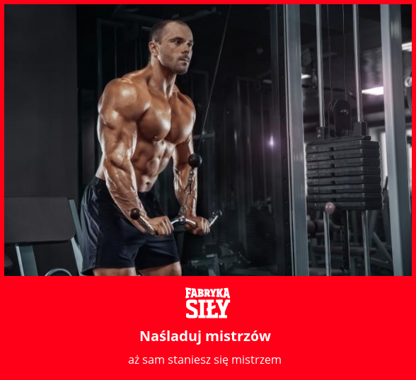 Naśladuj mistrzów - motywacja do treningu - Fabryka Siły