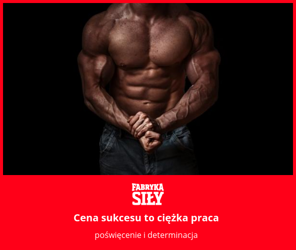 Cena sukcesu to ciężka praca - motywacja do treningu - Fabryka Siły