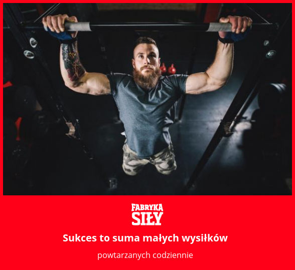 Sukces to suma małych wysiłków - motywacja do treningu - Fabryka Siły