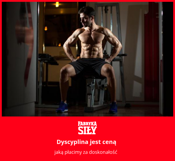 Dyscyplina jest ceną - motywacja do treningu - Fabryka Siły