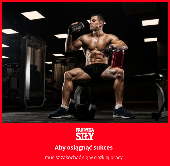 Aby osiągnąć sukces - motywacja do treningu - Fabryka Siły