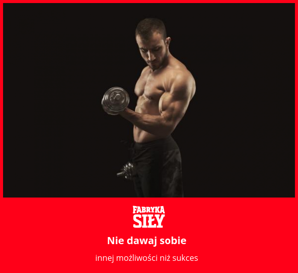 Nie dawaj sobie - motywacja do treningu - Fabryka Siły