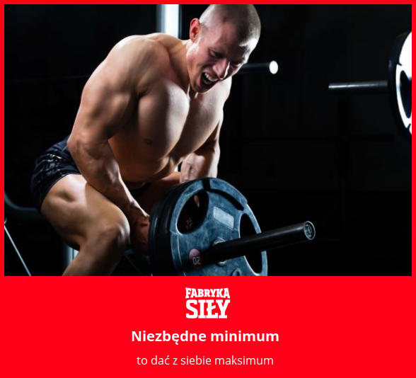 Niezbędne minimum - motywacja do treningu - Fabryka Siły
