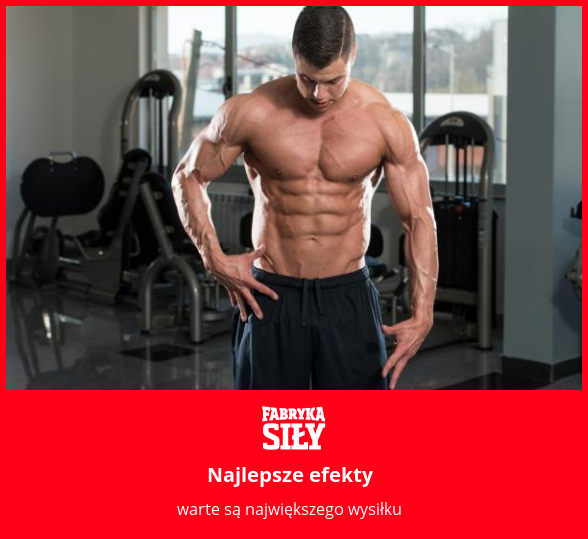 Najlepsze efekty - motywacja do treningu - Fabryka Siły
