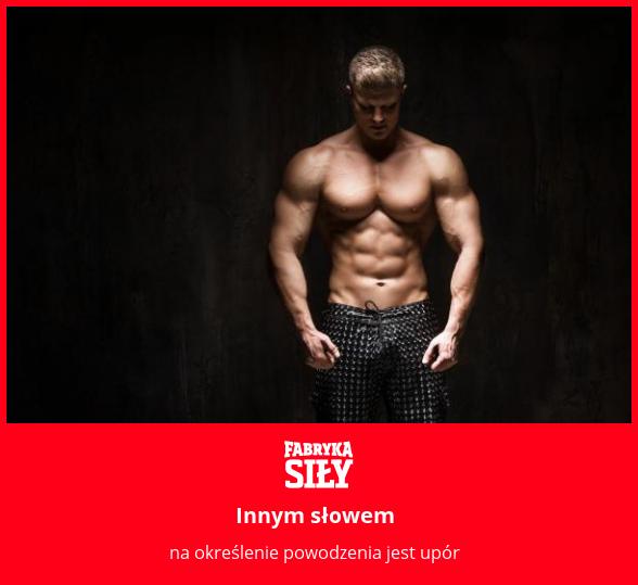 Innym słowem - motywacja do treningu - Fabryka Siły