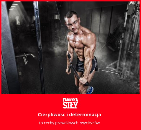 Cierpliwość i determinacja - motywacja do treningu - Fabryka Siły