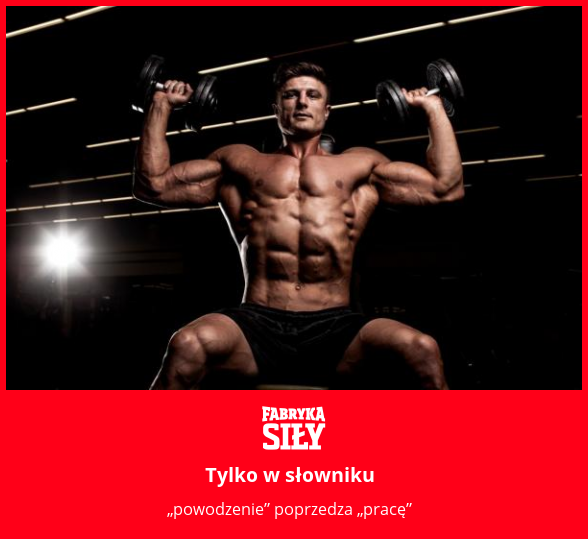 Tylko w słowniku - motywacja do treningu - Fabryka Siły