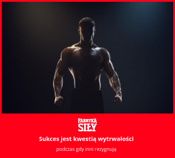 Sukces jest kwestią wytrwałości - motywacja do treningu - Fabryka Siły