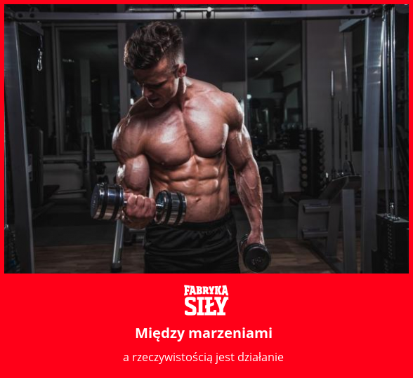 Między marzeniami - motywacja do treningu - Fabryka Siły