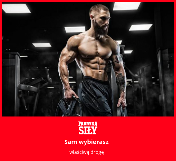 Sam wybierasz - motywacja do treningu - Fabryka Siły