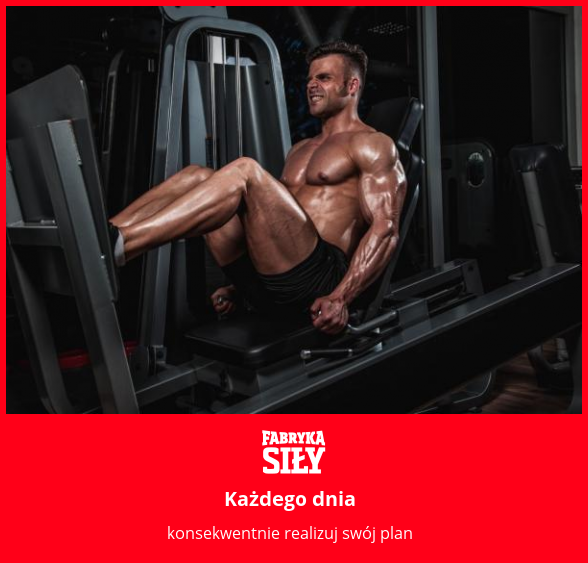 Każdego dnia - motywacja do treningu - Fabryka Siły