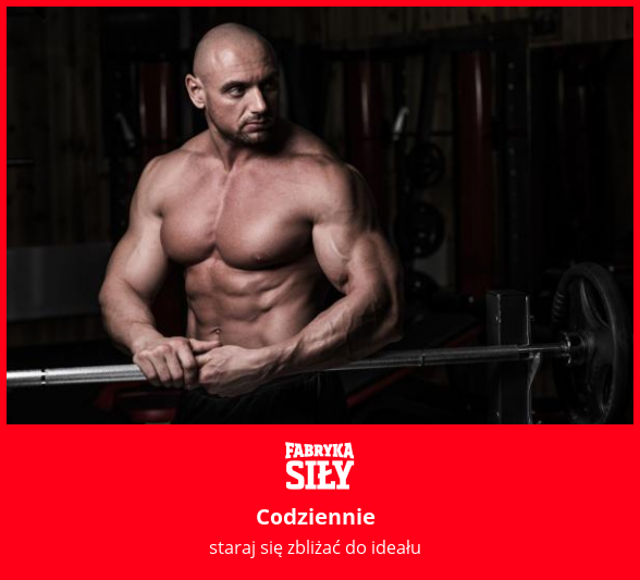 Codziennie - motywacja do treningu - Fabryka Siły