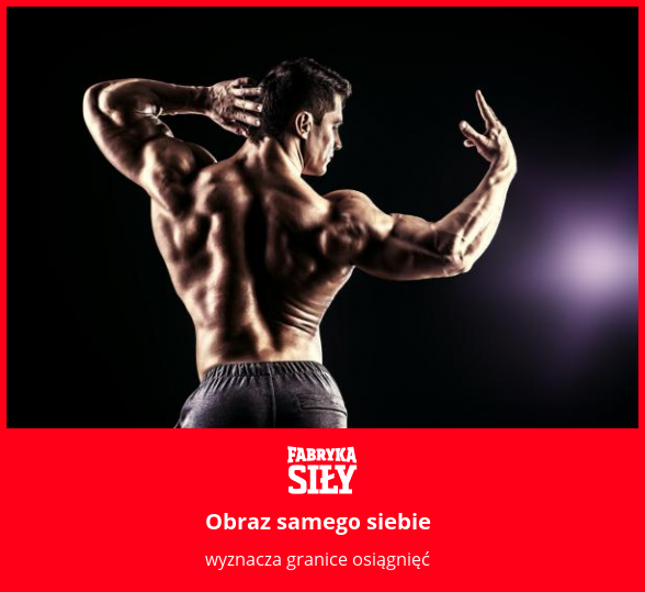 Obraz samego siebie - motywacja do treningu - Fabryka Siły