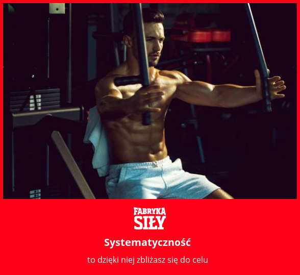 Systematyczność - motywacja do treningu - Fabryka Siły