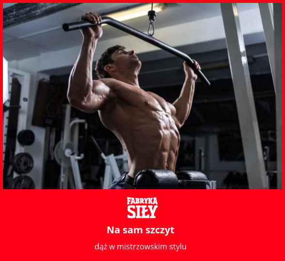 Na sam szczyt - motywacja do treningu - Fabryka Siły