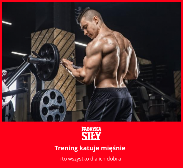 Trening katuje mięśnie - motywacja do treningu - Fabryka Siły