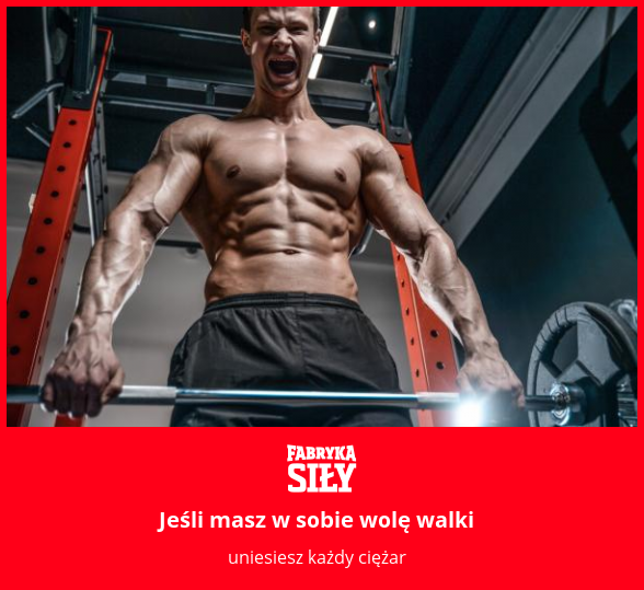 Jeśli masz w sobie wolę walki - motywacja do treningu - Fabryka Siły