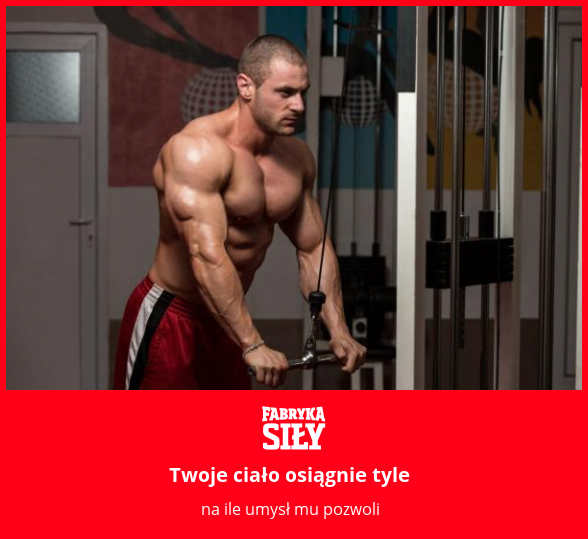 Twoje ciało osiągnie tyle - motywacja do treningu - Fabryka Siły