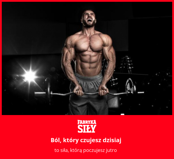 Ból, który czujesz dzisiaj - motywacja do treningu - Fabryka Siły