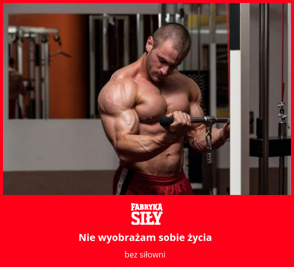 Nie wyobrażam sobie życia - motywacja do treningu - Fabryka Siły
