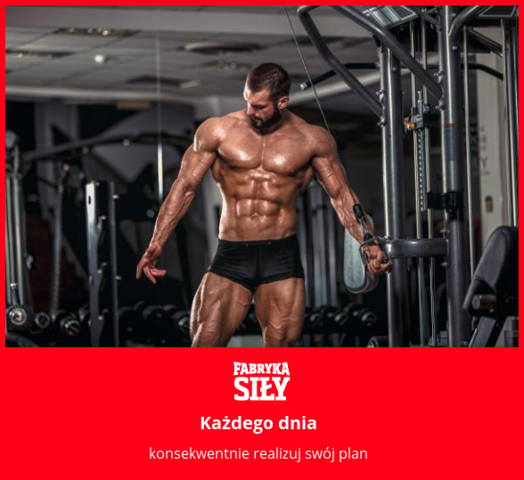 Każdego dnia - motywacja do treningu - Fabryka Siły