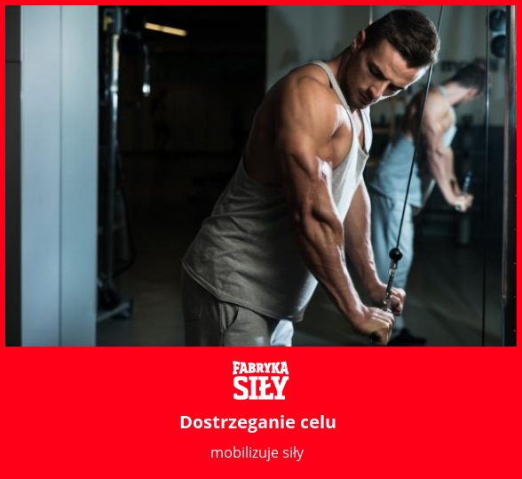 Dostrzeganie celu - motywacja do treningu - Fabryka Siły