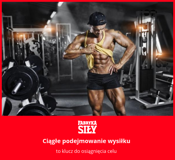 Ciągłe podejmowanie wysiłku - motywacja do treningu - Fabryka Siły