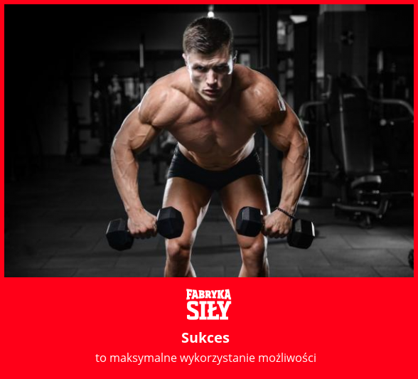 Sukces - motywacja do treningu - Fabryka Siły