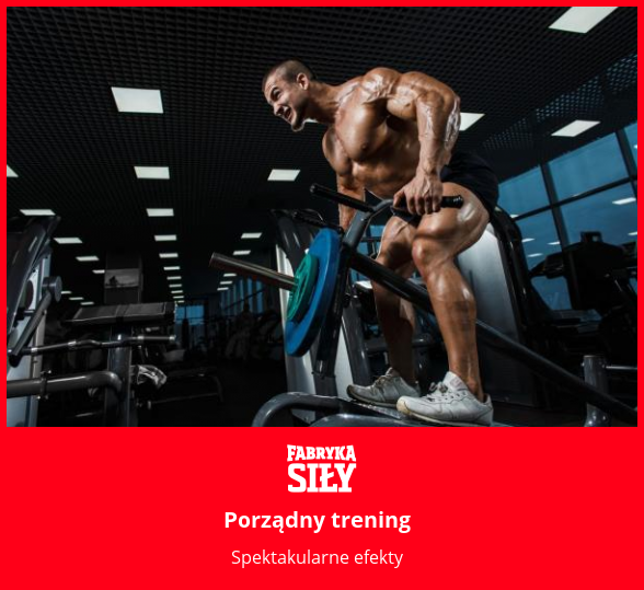 Porządny trening - motywacja do treningu - Fabryka Siły
