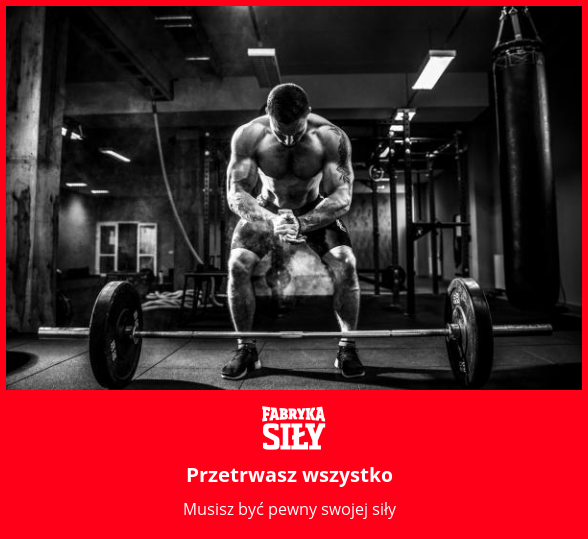Przetrwasz wszystko - motywacja do treningu - Fabryka Siły