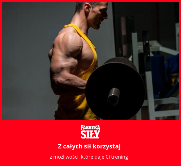Z całych sił korzystaj - motywacja do treningu - Fabryka Siły