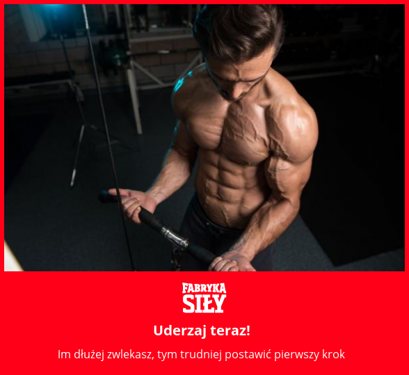 Uderzaj teraz! - motywacja do treningu - Fabryka Siły
