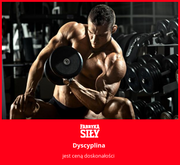 Dyscyplina - motywacja do treningu - Fabryka Siły