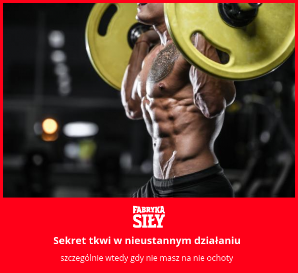 Sekret tkwi w nieustannym działaniu - motywacja do treningu - Fabryka Siły
