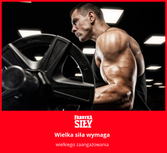 Wielka siła wymaga - motywacja do treningu - Fabryka Siły