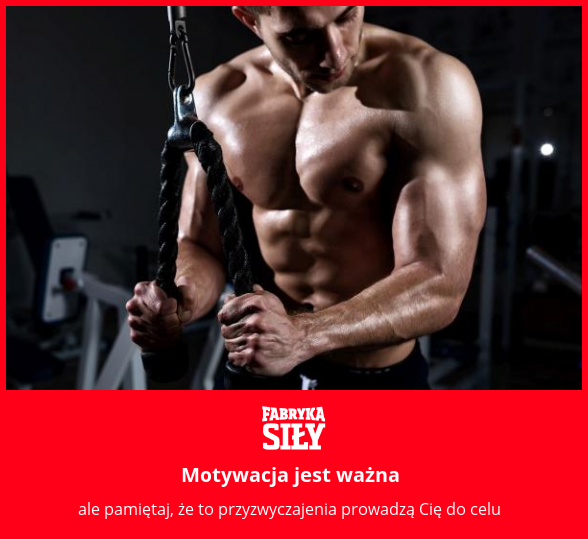 Motywacja jest ważna - motywacja do treningu - Fabryka Siły