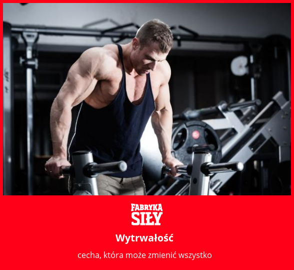 Wytrwałość - motywacja do treningu - Fabryka Siły